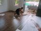CÁCH XỬ LÝ NỀN KHI LẮP ĐẶT SÀN GỖ