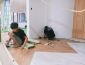 Xu hướng mới với sàn nhựa xương cá